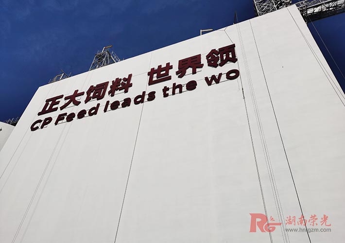 鍍鋅板外露發(fā)光字 LED樓頂發(fā)光字 大型沖孔字制作安裝 鍍鋅板外露發(fā)光字 LED樓頂發(fā)光字 大型沖孔字制作安裝